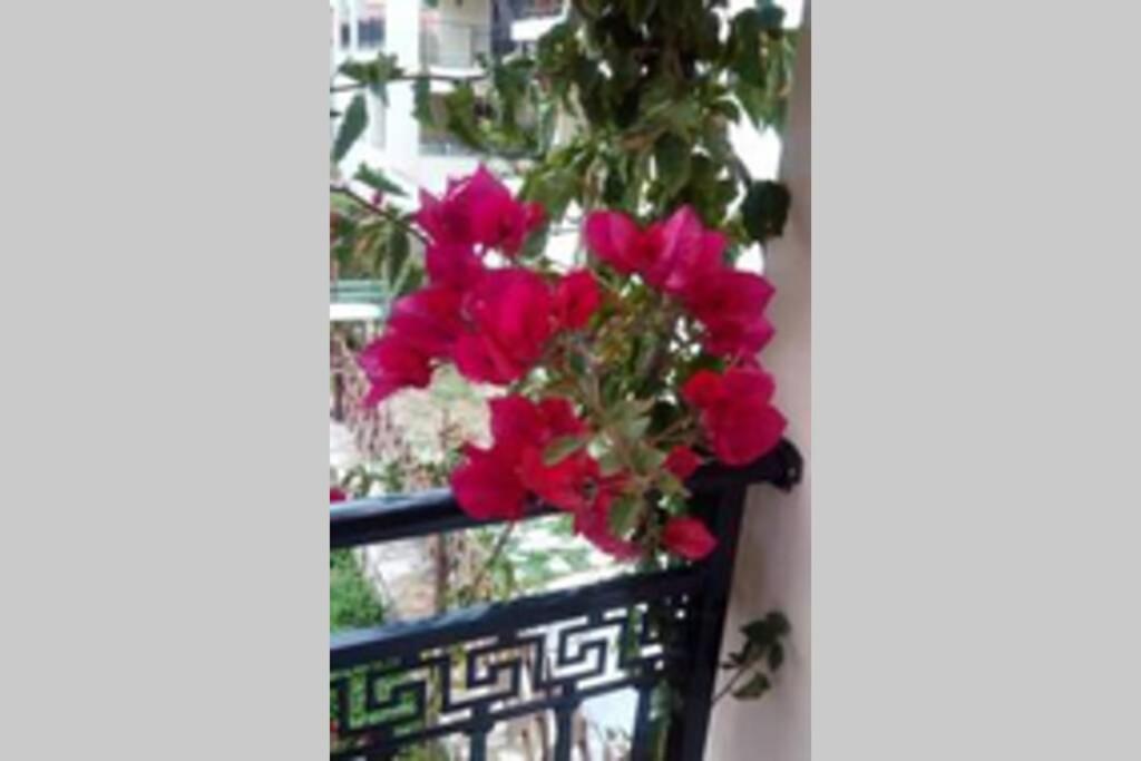 Meandros Apartment Garden View Σκόπελος Εξωτερικό φωτογραφία
